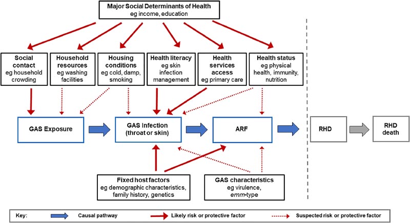 Des études pionnières identifient les principaux facteurs de risque pour A