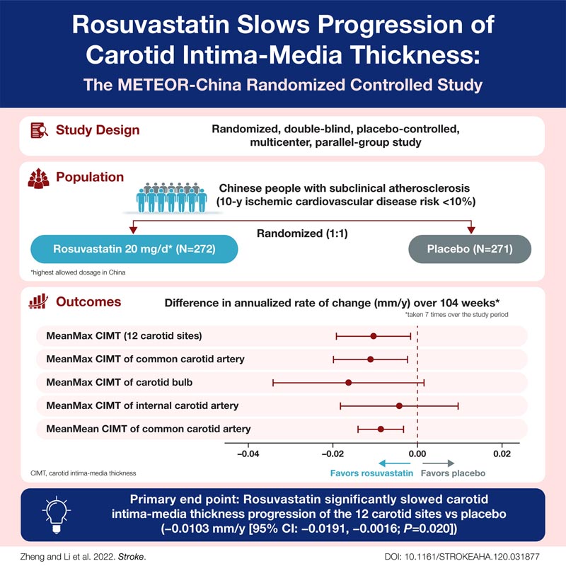 La rosuvastatine ralentit la progression de l’intima-M carotidienne