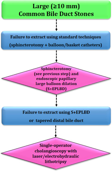 Traitement endoscopique des calculs biliaires compliqués Exa