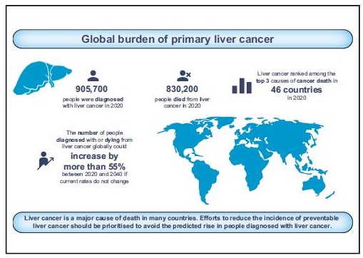 Tackling the Global Incidence of Hepatocellular Ca