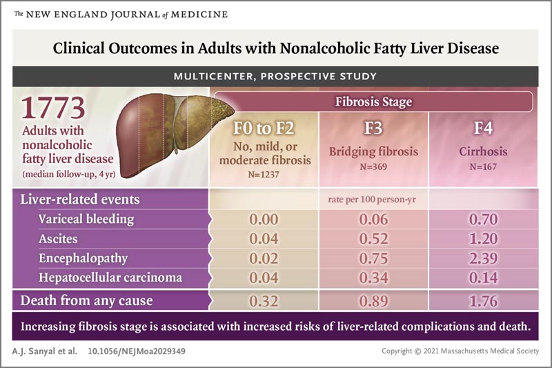 Évolution de la stéatose hépatique non alcoolique chez